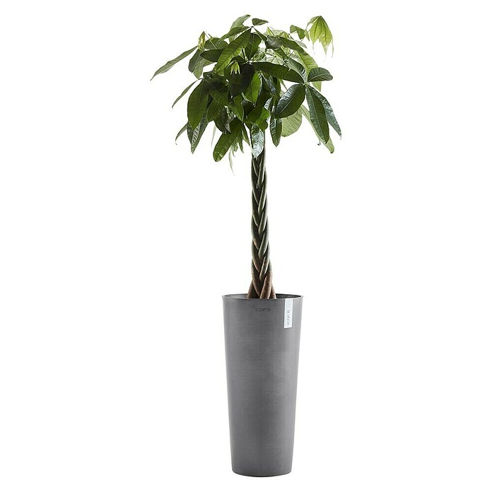 Ecopots Amsterdam Pflanzsäule rund Amsterdam (Außenmaß (Ø x H): 32,5 x 70 cm, Kunststoff, Grau) | BAUHAUS