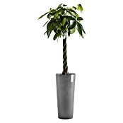 Ecopots Amsterdam Pflanzsäule rund Amsterdam (Außenmaß (Ø x H): 32,5 x 70 cm, Kunststoff, Grau) | BAUHAUS