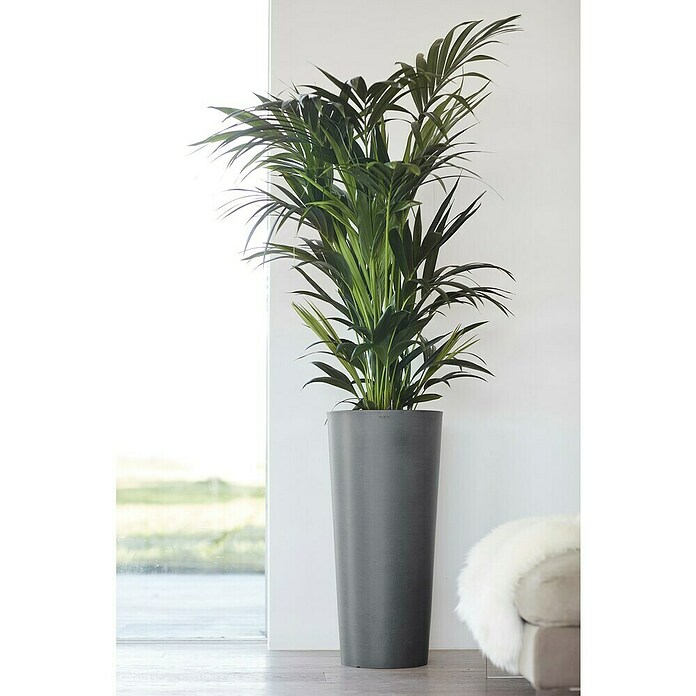 Ecopots Amsterdam Pflanzsäule rund Amsterdam (Außenmaß (Ø x H): 32,5 x 70 cm, Kunststoff, Grau) | BAUHAUS