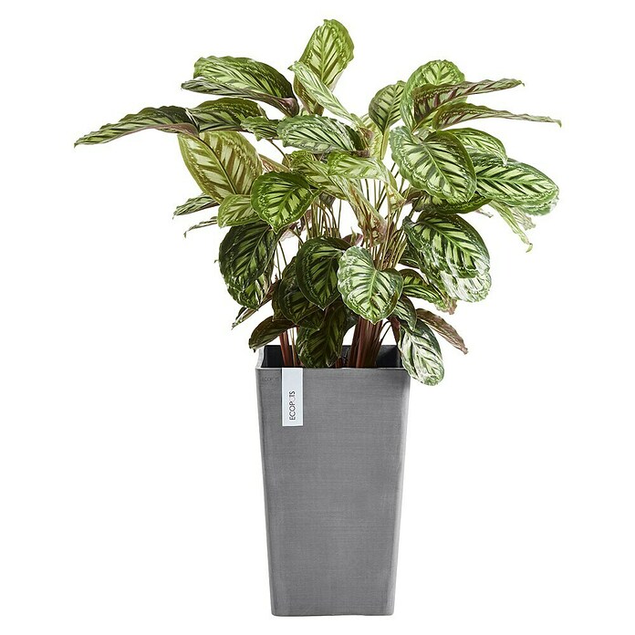 Ecopots Rotterdam Pflanzsäule eckig (Außenmaß (L x B x H): 30 x 30 x 50 cm, Kunststoff, Grau) | BAUHAUS