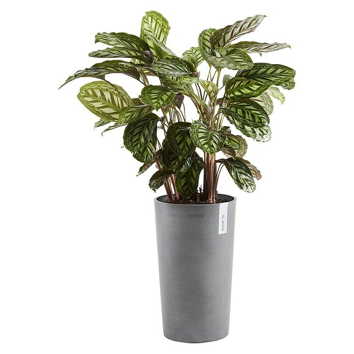 Ecopots Amsterdam Pflanzsäule rund Mid High (Außenmaß (Ø x H): 30 x 50 cm, Kunststoff, Grau) | BAUHAUS