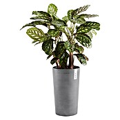 Ecopots Amsterdam Pflanzsäule rund Mid High (Außenmaß (Ø x H): 30 x 50 cm, Kunststoff, Grau) | BAUHAUS