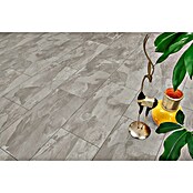LOGOCLIC Ceramico Laminat Lucienda (Lucienda, Fliese, 638 x 330 x 8 mm) | BAUHAUS