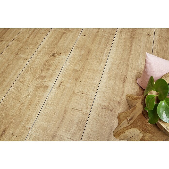 LOGOCLIC Vinto Laminat Wide Eiche Palazzo (Eiche Palazzo, Landhausdiele, 1 288 x 330 x 8 mm) | BAUHAUS