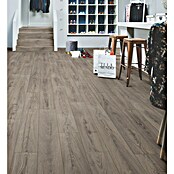 LOGOCLIC Ambienta Laminat Venus (Venus, Landhausdiele, 1 288 x 195 x 10 mm) | BAUHAUS