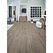 LOGOCLIC Ambienta Laminat Venus (Venus, Landhausdiele, 1 288 x 195 x 10 mm) | BAUHAUS