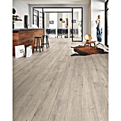 LOGOCLIC Ambienta Laminat Aurora (Aurora, Landhausdiele, 1 288 x 195 x 10 mm) | BAUHAUS