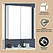 Trendteam Skin Spiegelschrank (B x H: 60 x 67 cm, Ohne Beleuchtung, Holz, Weiß) | BAUHAUS