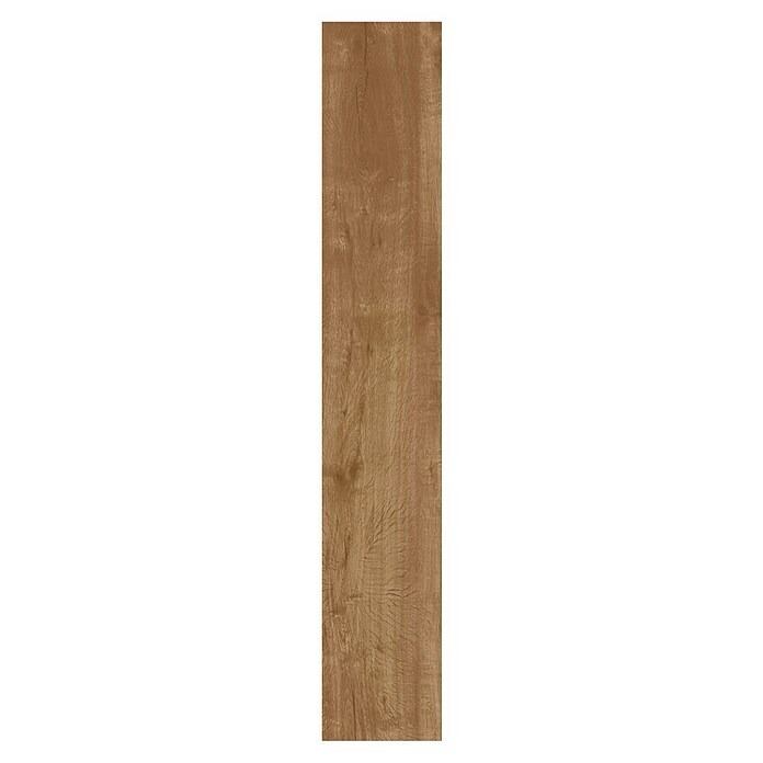 Feinsteinzeugfliese Essenza (20 x 120 cm, Castag, Matt) | BAUHAUS