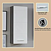 Trendteam Line Hängeschrank (30 x 24 x 77 cm, Sardegna Silber/Weiß) | BAUHAUS