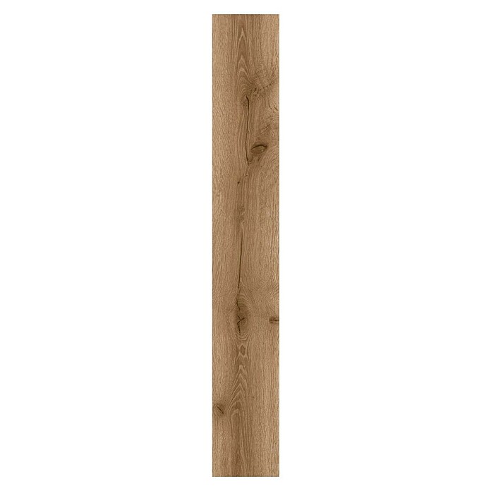 Suelo vinílico SPC Raíces Acacia (1.220 x 181 x 5 mm, Acacia, Capa de desgaste: 0,55 mm) | BAUHAUS