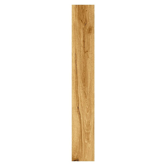 Suelo vinílico SPC Raíces Roble (1.220 x 181 x 5 mm, Roble, Capa de desgaste: 0,55 mm) | BAUHAUS