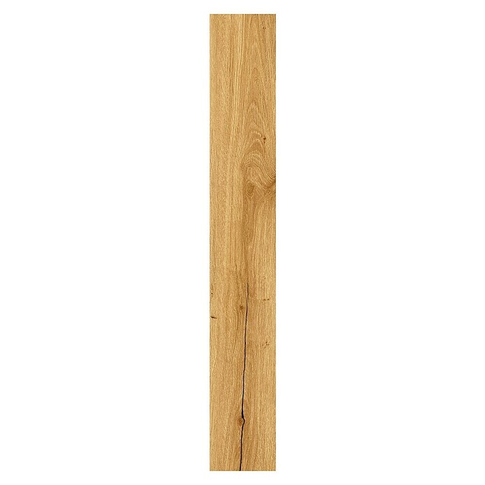 Suelo vinílico SPC Raíces Roble (1.220 x 181 x 5 mm, Roble, Capa de desgaste: 0,55 mm) | BAUHAUS