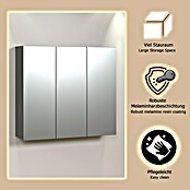 Trendteam Niklas Spiegelschrank (B x H: 90 x 80 cm, Anthrazit) | BAUHAUS