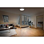 Osram Orbis Okrogel LED panel Yummy  (36 W, Ø x V: 49 cm x 70 mm, Bela, Toplo bela) | LED paneli | Stropne svetilke | Svetila | Elektro in svetila | Izdelki | BAUHAUS