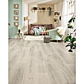 LOGOCLIC Edition Laminat Family (Solario, Landhausdiele, 1 288 x 245 x 7 mm) | BAUHAUS