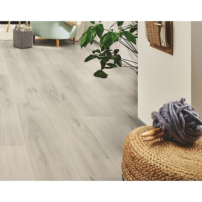 LOGOCLIC Edition Laminat Family (Solario, Landhausdiele, 1 288 x 245 x 7 mm) | BAUHAUS