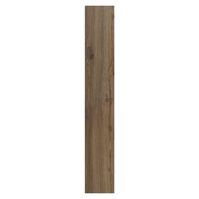 b!design Vinilni pod SPC  (Hrast Avignon, Rustikalen videz, 1.220 x 182 x 4,3 mm) | 5160 - Voll Vinyl Marke | GCDT - VINYLBÖDEN | GCD - Wand Boden Decke Leisten | GC - Wand Boden Decke Leisten | G - Holz/Bauelem | BAUHAUS