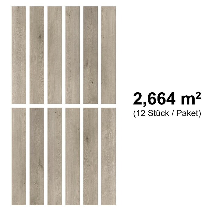 b!design Vinylboden SPC (Eiche Brunni, Landhausdiele, 1 220 x 182 x 4,3 mm) | BAUHAUS