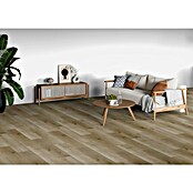 b!design Vinylboden SPC (Eiche Stanser, Landhausdiele, 1 220 x 182 x 4,3 mm) | BAUHAUS