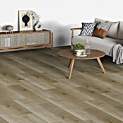 b!design Vinylboden SPC (Eiche Stanser, Landhausdiele, 1 220 x 182 x 4,3 mm) | BAUHAUS