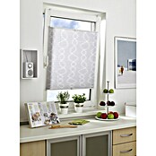 Gardinia EasyFix Plissee Curl (L x B: 130 x 80 cm, Grau, Polyester) | BAUHAUS