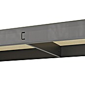Regalux Metalni regal  (V x Š x DB: 180 x 93 x 40 cm, Nosivost po polici: 175 kg, Broj polica: 5 Kom., Uticanje) | BAUHAUS
