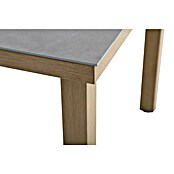 Gartentisch Kanto (L x B x H: 200 x 100 x 74 cm, Eckig, Grau/Braun, Aluminium) | BAUHAUS