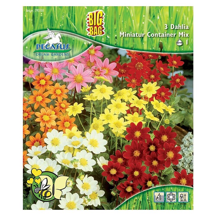 Sperli Blumenzwiebeln Kübel- und Gartendahlienmischung (Dahlia hybrids, Mehrfarbig) | BAUHAUS