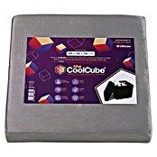 Puf Terciopelo (L x An x Al: 38 x 38 x 38 cm, Gris) | BAUHAUS