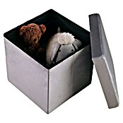 Puf Terciopelo (L x An x Al: 38 x 38 x 38 cm, Gris) | BAUHAUS
