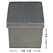 Puf Terciopelo (L x An x Al: 38 x 38 x 38 cm, Gris) | BAUHAUS