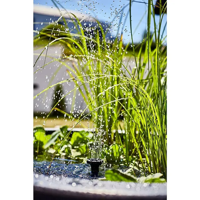Heissner Zierbrunnen Solar Wassergarten Lotusgarden - Anthrazit, L x B x H: 58 x 58 x 19 cm - Dunkler Springbrunnenkopf sprüht Wasser, klare Tropfen fallen auf hellgrünes Teichgras.