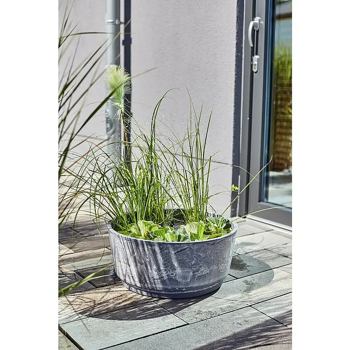 Heissner Zierbrunnen Solar Wassergarten Aquatopia - Hellgrau, Ø x H: 46 x 21 cm - Strukturierter dunkelgrauer Wasserpflanzenkübel mit Wasserpflanzen auf einer Terrasse.
