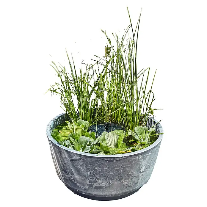 Heissner Zierbrunnen Solar Wassergarten Aquatopia - Hellgrau, Ø x H: 46 x 21 cm - Grauer, texturierter Topf mit integriertem Teich, hohen Wassergräsern, Schwimmpflanzen und kleiner Fontäne.
