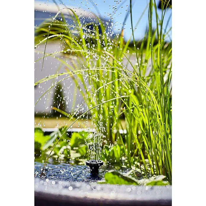 Heissner Zierbrunnen Solar Wassergarten Lotusgarden - Anthrazit, L x B x H: 58 x 58 x 19 cm - Schwarze Springbrunnen-Düse sprüht Wasser in einem kleinen Teich zwischen leuchtend grünen Pflanzen, mit sichtbaren Wassertropfen.