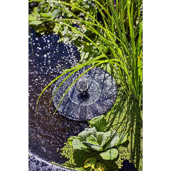 Heissner Zierbrunnen Solar Wassergarten Lotusgarden - Anthrazit, L x B x H: 58 x 58 x 19 cm - Eine dunkle, runde solarbetriebene Teichpumpe sprüht Wasser in einem Teich mit Grünpflanzen.
