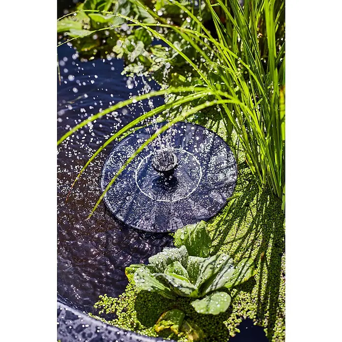 Heissner Zierbrunnen Solar Wassergarten Lotusgarden - Anthrazit, L x B x H: 58 x 58 x 19 cm - Eine dunkle, solarbetriebene Teichpumpe schwimmt in einem Teich und sprüht Wasser inmitten grüner Wasserpflanzen.
