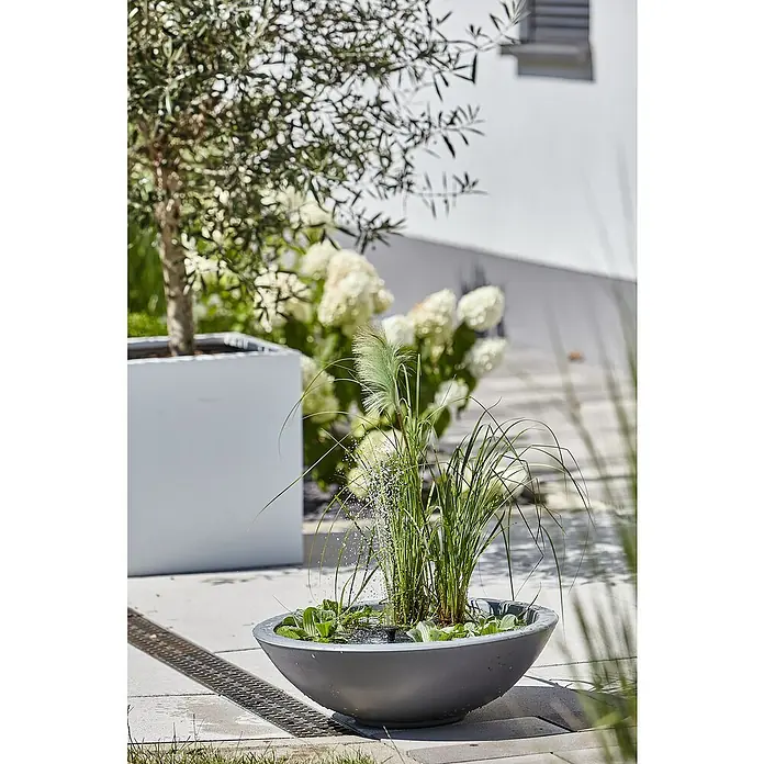 Heissner Zierbrunnen Solar Wassergarten Lotusgarden - Anthrazit, L x B x H: 58 x 58 x 19 cm - Dunkelgraue, schalenförmige Wasserschale mit aktivem Brunnen, Wasserpflanzen und hohem Gras auf einer gepflasterten Terrasse.