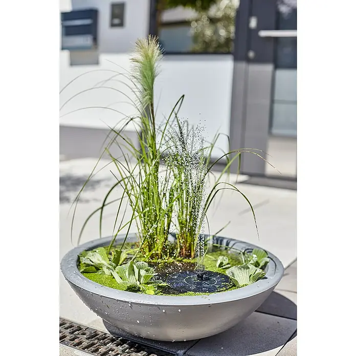 Heissner Zierbrunnen Solar Wassergarten Lotusgarden - Anthrazit, L x B x H: 58 x 58 x 19 cm - Graue Beton-Wasserschale mit Solarbrunnen, grünen Wasserpflanzen und hohem Gras.