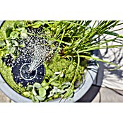 Heissner Gartenbrunnen Solar Wassergarten Lotusgarden (58 x 58 x 19 cm, Kunststoff, Anthrazit) | BAUHAUS