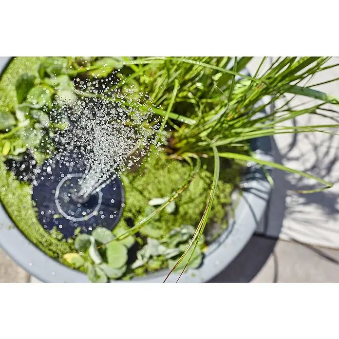 Heissner Zierbrunnen Solar Wassergarten Lotusgarden - Anthrazit, L x B x H: 58 x 58 x 19 cm - Schwarze Solarpumpen-Fontäne sprüht Wasser in einem Pflanzgefäß mit Wasserpflanzen.