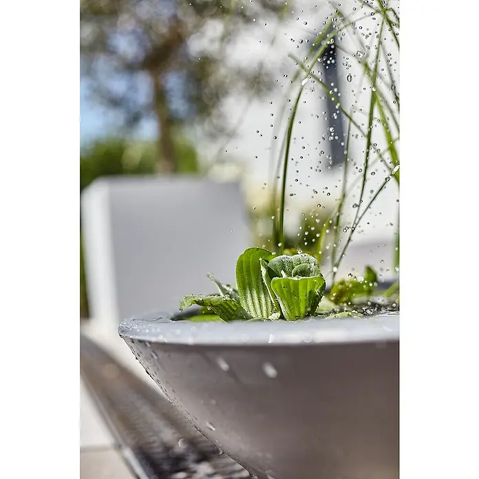 Heissner Zierbrunnen Solar Wassergarten Lotusgarden - Anthrazit, L x B x H: 58 x 58 x 19 cm - Graue Betonschale als Wasserspiel mit grünen Wasserpflanzen und spritzendem Wasser in einer Außenumgebung.
