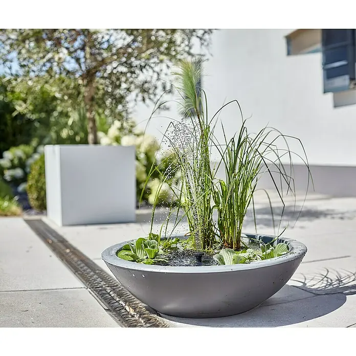 Heissner Zierbrunnen Solar Wassergarten Lotusgarden - Anthrazit, L x B x H: 58 x 58 x 19 cm - Graue Wasserschale mit Springbrunnen, grünen Pflanzen und Wasserlinsen.
