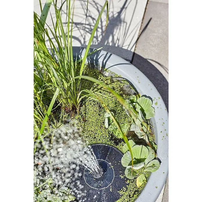 Heissner Zierbrunnen Solar Wassergarten Lotusgarden - Anthrazit, L x B x H: 58 x 58 x 19 cm - Eine runde, schwarze Solar-Springbrunnenpumpe sprüht Wasser in einem grauen Wasserbecken, umgeben von grünen Wasserpflanzen und hohem Gras.