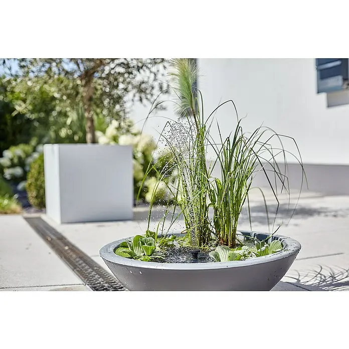 Heissner Zierbrunnen Solar Wassergarten Lotusgarden - Anthrazit, L x B x H: 58 x 58 x 19 cm - Graue Beton-Wasserschale mit kleinem Brunnen, Wasserpflanzen und hohem Gras, als Gartenelement auf einer Terrasse.