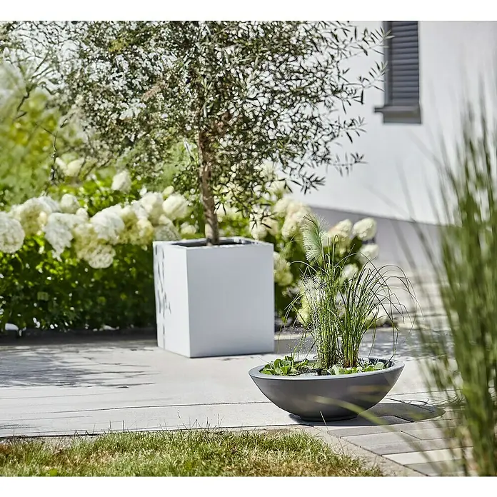 Heissner Zierbrunnen Solar Wassergarten Lotusgarden - Anthrazit, L x B x H: 58 x 58 x 19 cm - Dunkelgraues schalenförmiges Wasserspiel mit Wasserpflanzen und kleinem Brunnen.