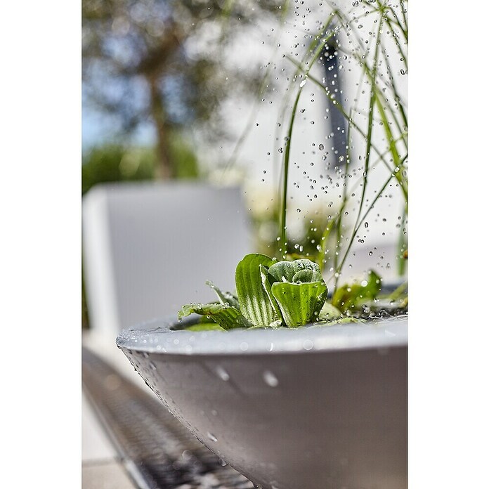 Heissner Gartenbrunnen Solar Wassergarten Lotusgarden (58 x 58 x 19 cm, Kunststoff, Anthrazit) | BAUHAUS