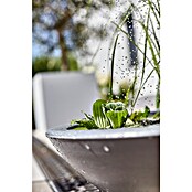 Heissner Gartenbrunnen Solar Wassergarten Lotusgarden (58 x 58 x 19 cm, Kunststoff, Anthrazit) | BAUHAUS