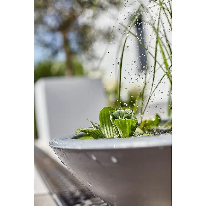 Heissner Zierbrunnen Solar Wassergarten Lotusgarden - Anthrazit, L x B x H: 58 x 58 x 19 cm - Graue Schale mit Wasserpflanzen und fallenden Wassertropfen.